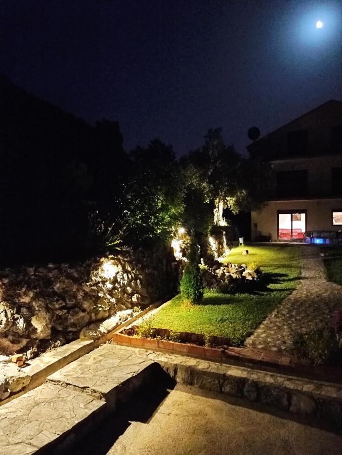Forest Apartments كوتور المظهر الخارجي الصورة